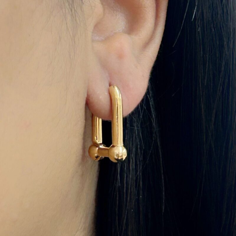 Brinco Elo TG Banhado em Ouro 18K