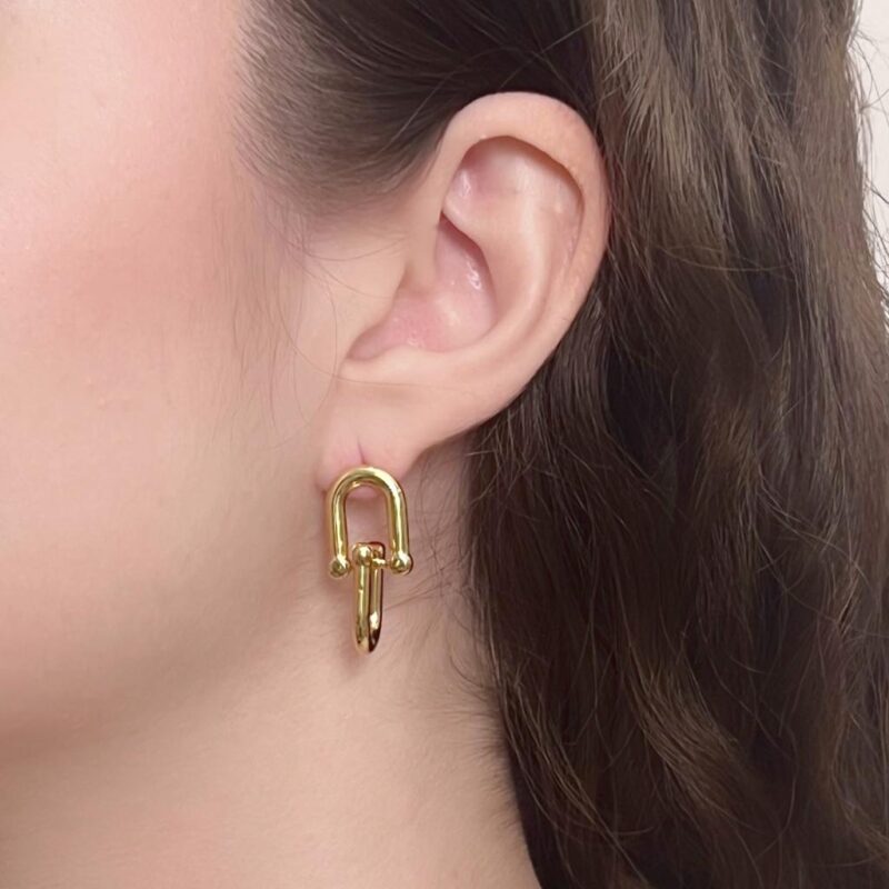 Brinco Elo T Duplo em Aço