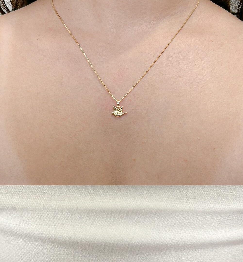 Colar Espirito Santo Banhado em Ouro 18k