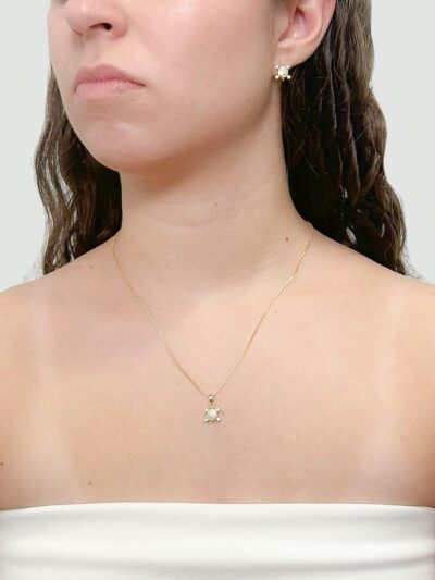 Conjunto Tartaruga Cravejado Banhado em Ouro 18K