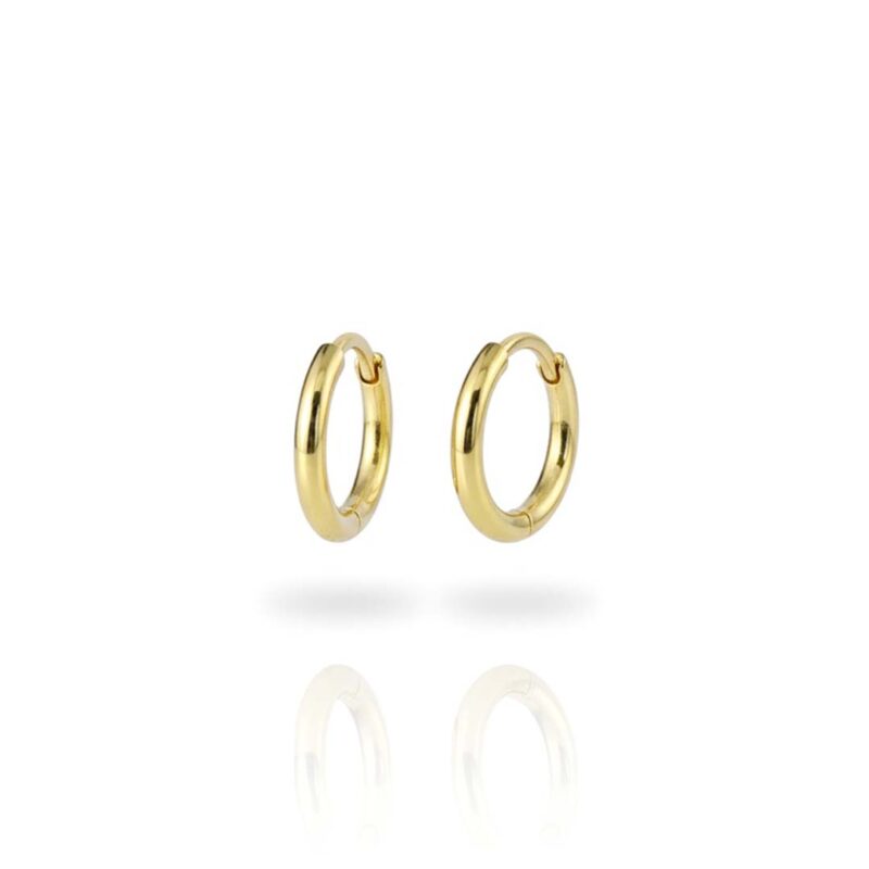 Brinco Argola Lisa M em Aço