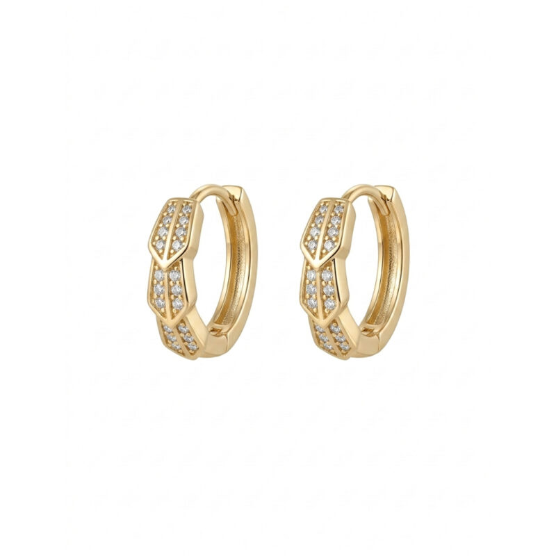 Brinco Argola Snake Cravejado Banhado em Ouro 18k